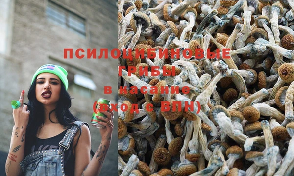 дживик Алексин