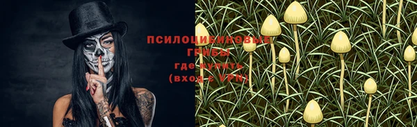 кристаллы Абаза